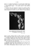 giornale/TO00195913/1938/unico/00000139