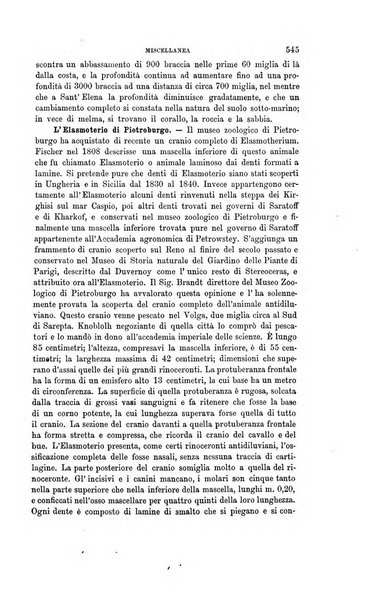 Gli studi in Italia periodico didattico, scientifico e letterario