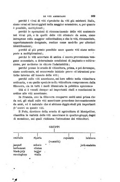 Gli studi in Italia periodico didattico, scientifico e letterario