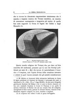 giornale/TO00196090/1906/unico/00000012