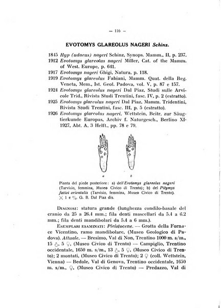 Studi trentini di scienze naturali rivista della Società per gli studi trentini