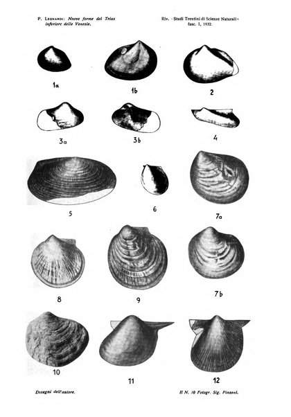 Studi trentini di scienze naturali rivista della Società per gli studi trentini