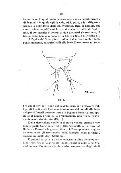 Studi trentini di scienze naturali rivista della Società per gli studi trentini