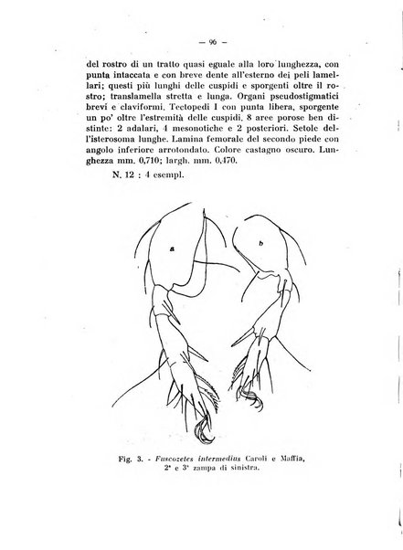 Studi trentini di scienze naturali rivista della Società per gli studi trentini