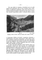 giornale/TO00196100/1935/unico/00000035