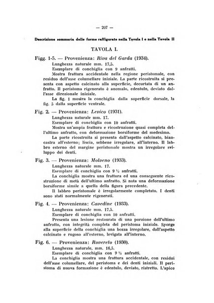 Studi trentini di scienze naturali rivista della Società per gli studi trentini