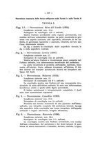 giornale/TO00196100/1935/unico/00000229