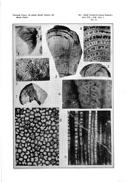 Studi trentini di scienze naturali rivista della Società per gli studi trentini