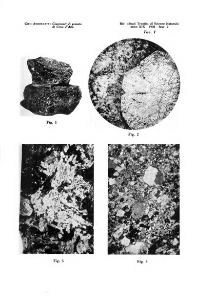 Studi trentini di scienze naturali rivista della Società per gli studi trentini