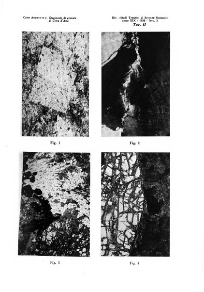 Studi trentini di scienze naturali rivista della Società per gli studi trentini