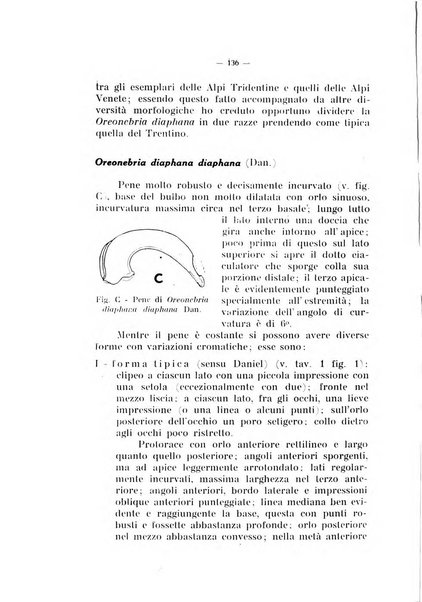 Studi trentini di scienze naturali rivista della Società per gli studi trentini