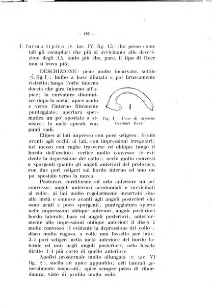 Studi trentini di scienze naturali rivista della Società per gli studi trentini