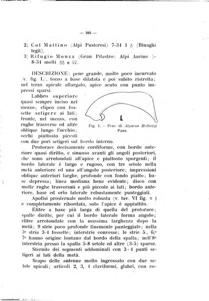 Studi trentini di scienze naturali rivista della Società per gli studi trentini