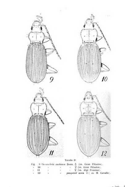 Studi trentini di scienze naturali rivista della Società per gli studi trentini