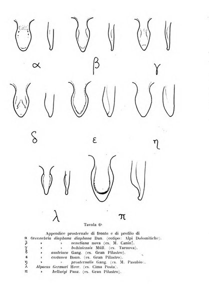 Studi trentini di scienze naturali rivista della Società per gli studi trentini