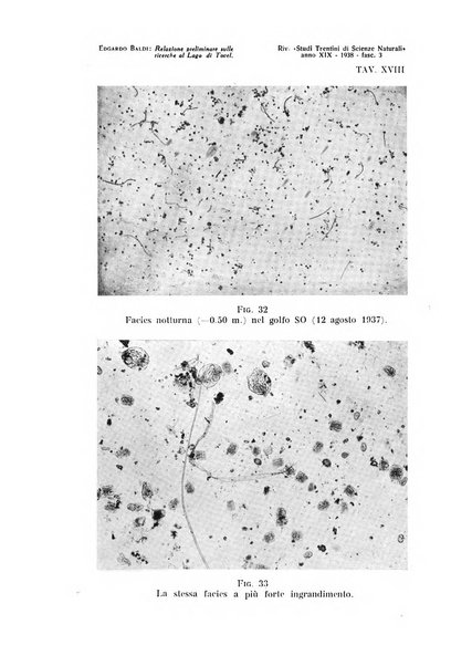 Studi trentini di scienze naturali rivista della Società per gli studi trentini