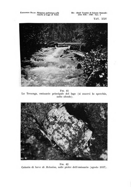 Studi trentini di scienze naturali rivista della Società per gli studi trentini