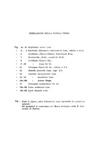 Studi trentini di scienze naturali rivista della Società per gli studi trentini