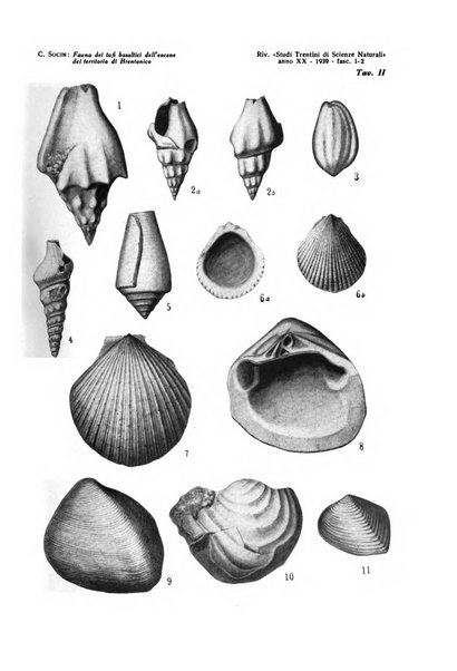 Studi trentini di scienze naturali rivista della Società per gli studi trentini