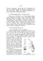 giornale/TO00196100/1939/unico/00000293