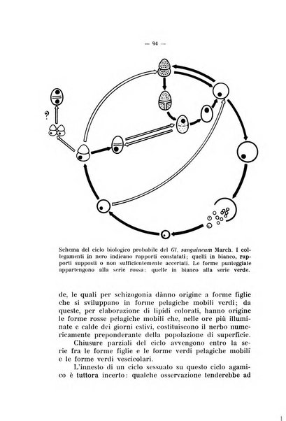 Studi trentini di scienze naturali rivista della Società per gli studi trentini