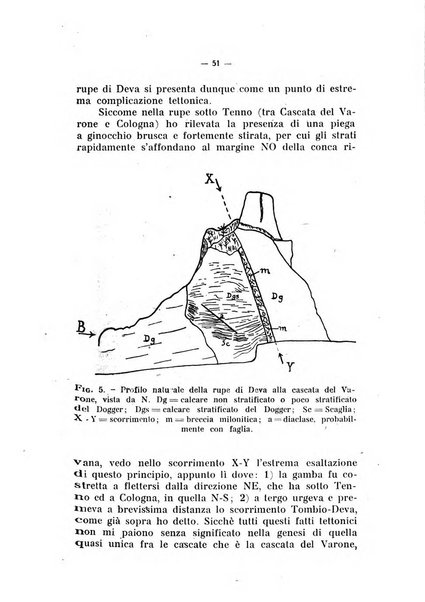 Studi trentini di scienze naturali rivista della Società per gli studi trentini