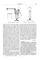 giornale/TO00196196/1885-1886/unico/00000243