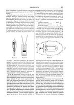 giornale/TO00196196/1885-1886/unico/00000293