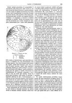 giornale/TO00196196/1886-1887/unico/00000303