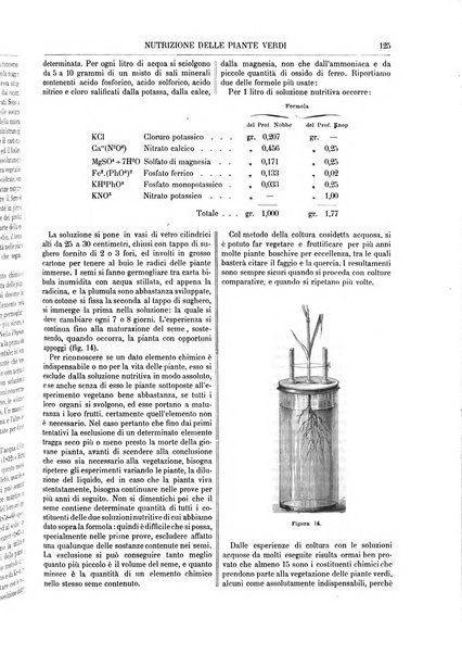 Supplemento annuale alla Enciclopedia di chimica scientifica e industriale colle applicazioni all'agricoltura ed industrie agronomiche ...