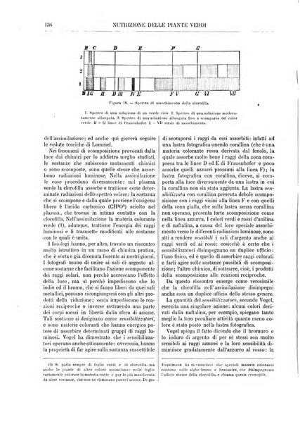 Supplemento annuale alla Enciclopedia di chimica scientifica e industriale colle applicazioni all'agricoltura ed industrie agronomiche ...