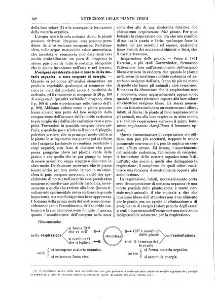 Supplemento annuale alla Enciclopedia di chimica scientifica e industriale colle applicazioni all'agricoltura ed industrie agronomiche ...