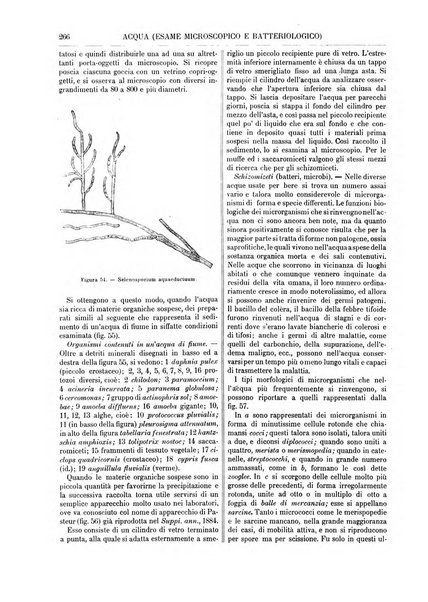 Supplemento annuale alla Enciclopedia di chimica scientifica e industriale colle applicazioni all'agricoltura ed industrie agronomiche ...