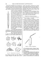 giornale/TO00196196/1888-1889/unico/00000280