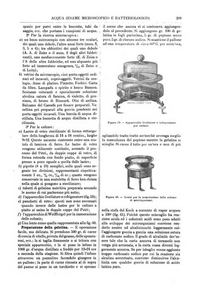 Supplemento annuale alla Enciclopedia di chimica scientifica e industriale colle applicazioni all'agricoltura ed industrie agronomiche ...