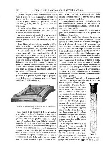 Supplemento annuale alla Enciclopedia di chimica scientifica e industriale colle applicazioni all'agricoltura ed industrie agronomiche ...