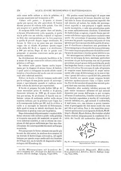 Supplemento annuale alla Enciclopedia di chimica scientifica e industriale colle applicazioni all'agricoltura ed industrie agronomiche ...