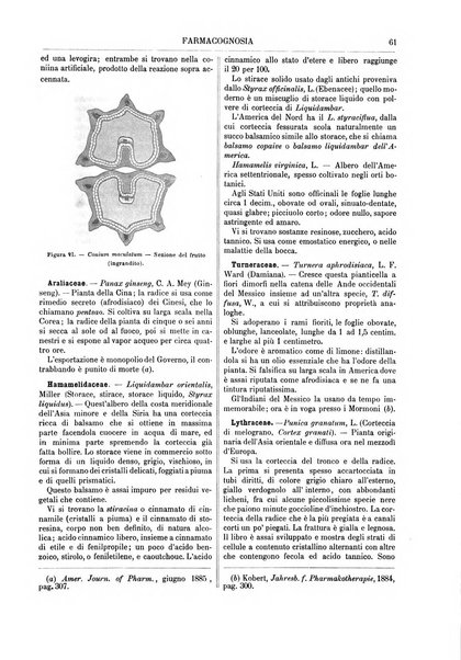 Supplemento annuale alla Enciclopedia di chimica scientifica e industriale colle applicazioni all'agricoltura ed industrie agronomiche ...