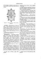 giornale/TO00196196/1889-1890/unico/00000069