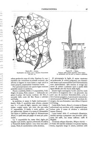 Supplemento annuale alla Enciclopedia di chimica scientifica e industriale colle applicazioni all'agricoltura ed industrie agronomiche ...