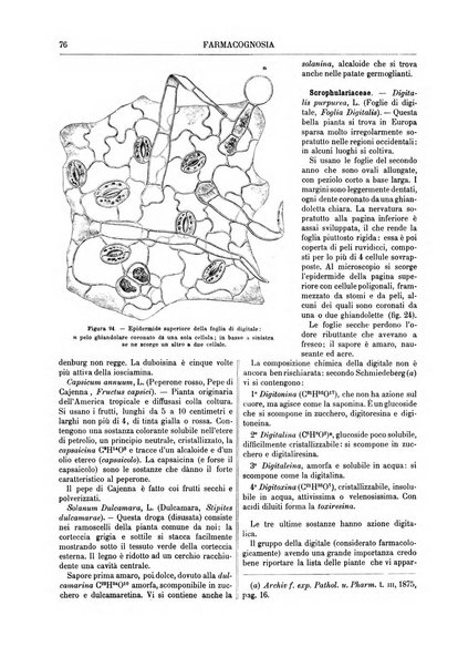 Supplemento annuale alla Enciclopedia di chimica scientifica e industriale colle applicazioni all'agricoltura ed industrie agronomiche ...