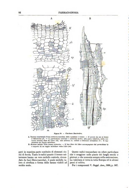 Supplemento annuale alla Enciclopedia di chimica scientifica e industriale colle applicazioni all'agricoltura ed industrie agronomiche ...