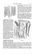 giornale/TO00196196/1891-1892/unico/00000177