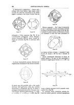 giornale/TO00196196/1891-1892/unico/00000274