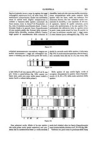 Supplemento annuale alla Enciclopedia di chimica scientifica e industriale colle applicazioni all'agricoltura ed industrie agronomiche ...