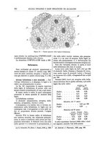 giornale/TO00196196/1891-1892/unico/00000364