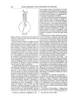 giornale/TO00196196/1891-1892/unico/00000388