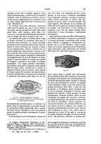 giornale/TO00196196/1892-1893/unico/00000265