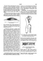 giornale/TO00196196/1892-1893/unico/00000267