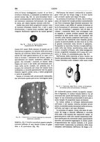 giornale/TO00196196/1892-1893/unico/00000268